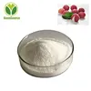 Best selling products fresh lychee extract powder litchi extract Natural Fruit Powder Litchi Juice Powder