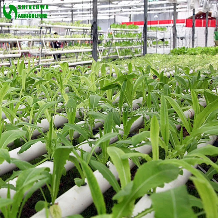 
Commercial PVC Hydroponic Grow Systems For Sale 