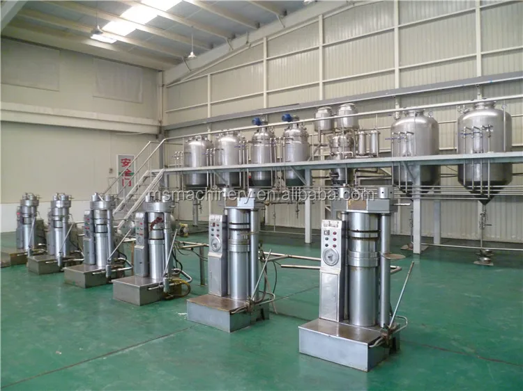 home olive oil press machine