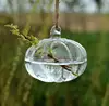 Round pumpkin shape glass terrarium hanging terrarium