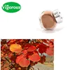 Free Samples 98% fisetin smoke tree Cotinus coggygria extract