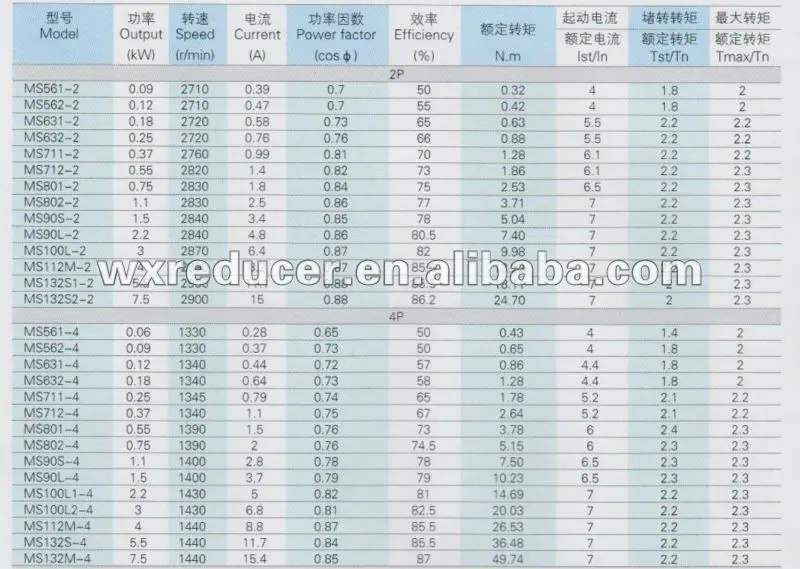 MS 3-phase Motor.jpg