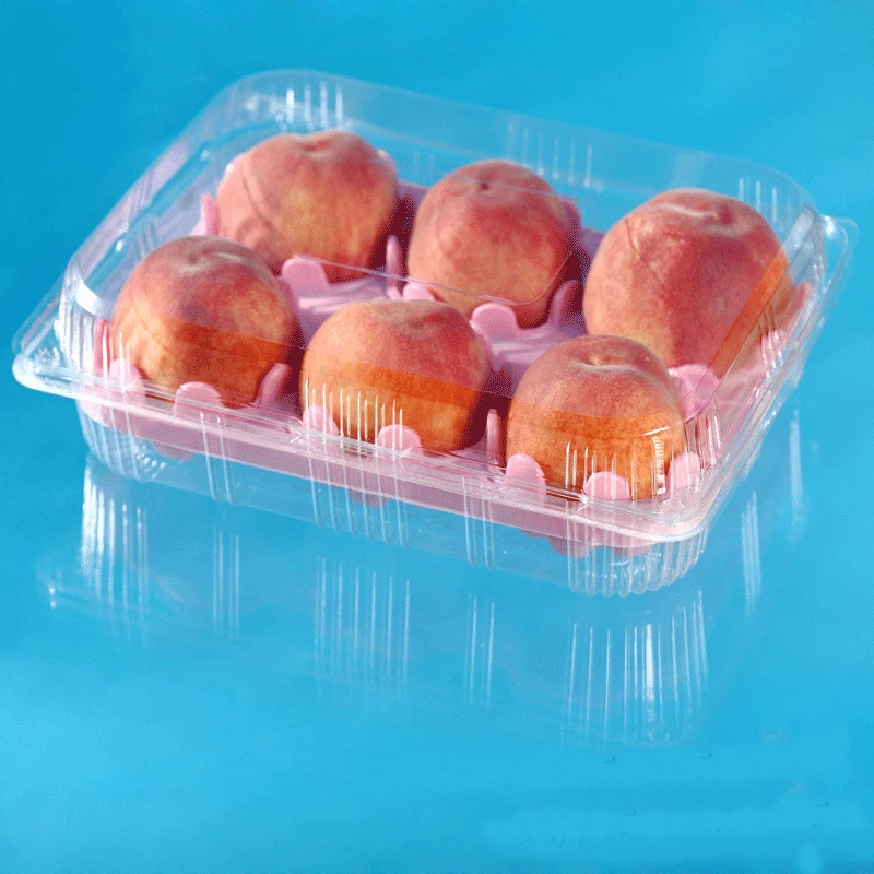 Disposable Plastic Peach Packaging Container Clear Clamshell 6 Pack