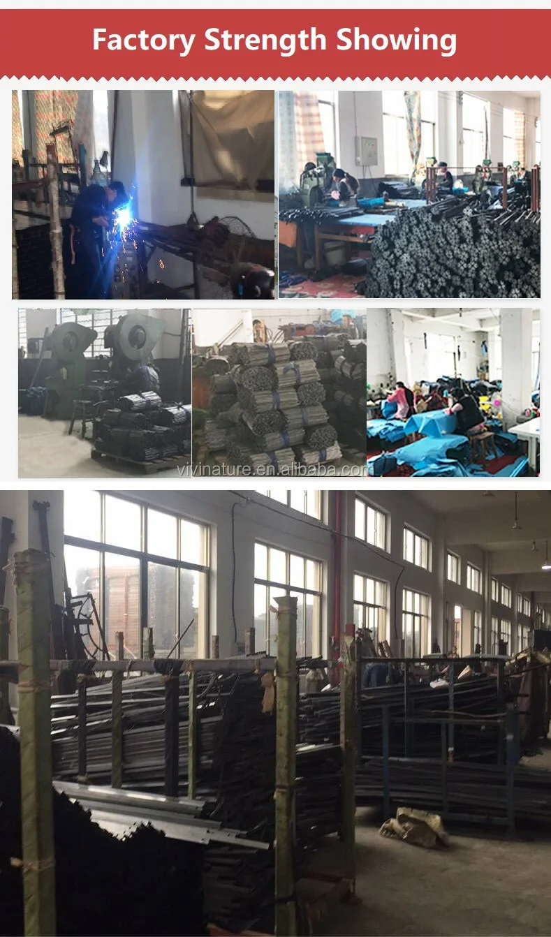 4251910082_1295381090