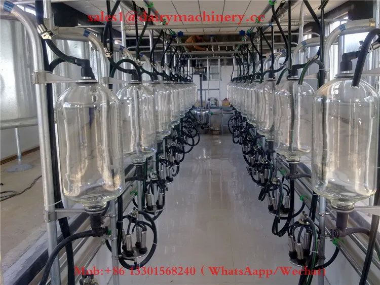 milking palor HL-G1 (116).jpg