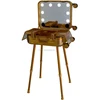 Makeup Train Stand Case With Pro Studio Artist Trolley - Gold