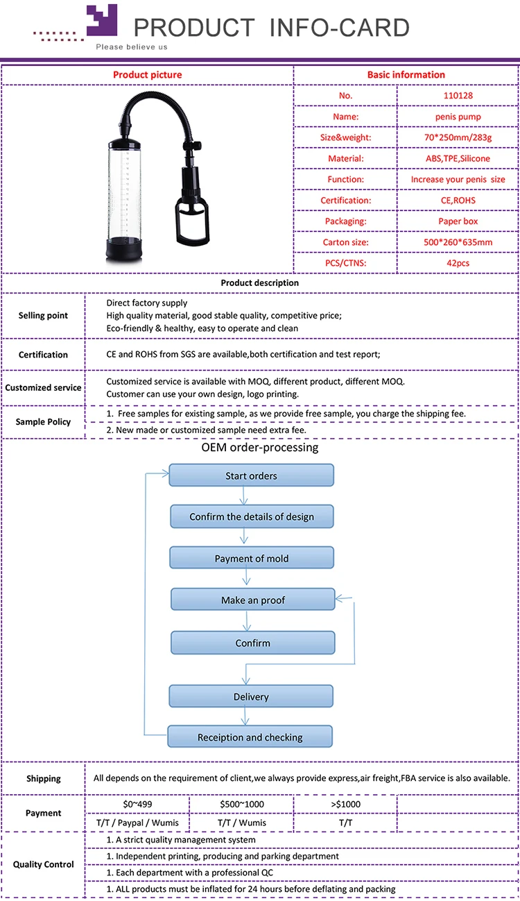 Holmium info system inc