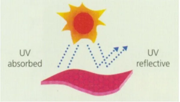 UV2