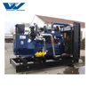 High Cost-effective 200kw Natural Gas/Biogas/Lpg Generator! China Manufacturer!