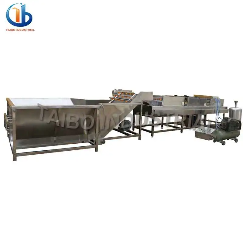 fruit-washing-waxing-machine