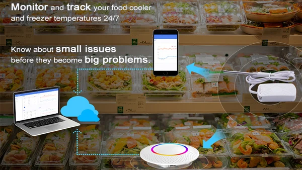  ble temperature sensor