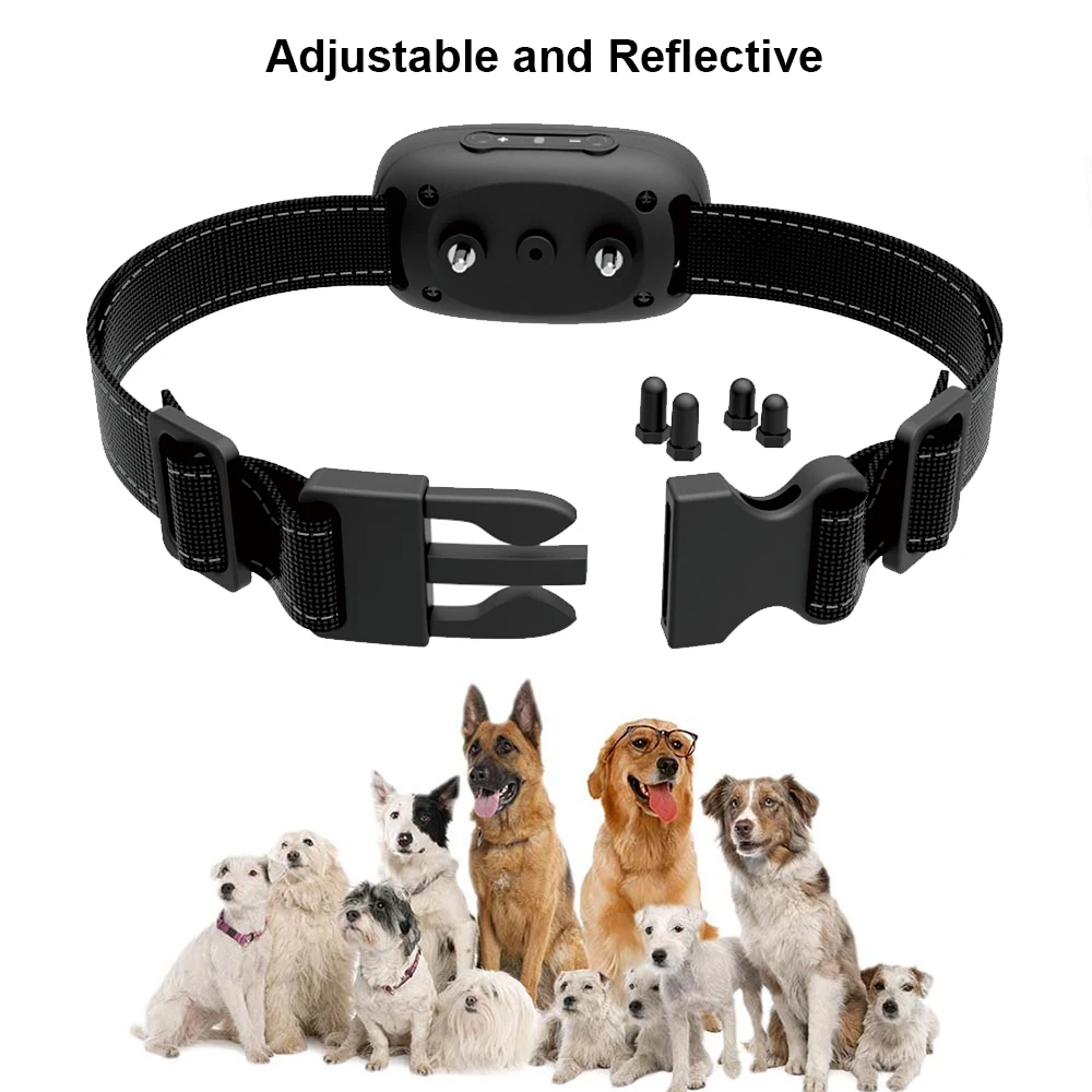 shock collar for st bernard
