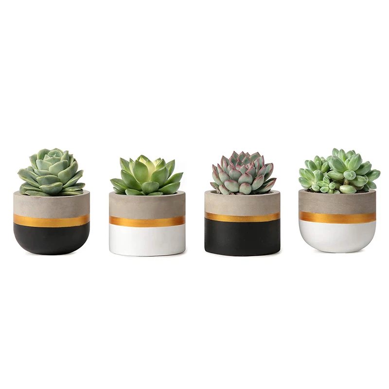 

Hot Sale Design Mini Cement Gold Plant Pot Succulent Pot, As show or customized