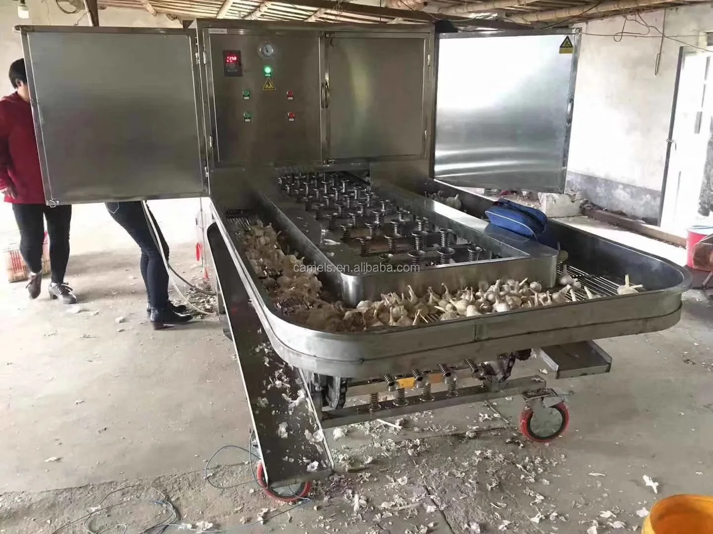 自动大蒜根凹面切割机/大蒜根切机