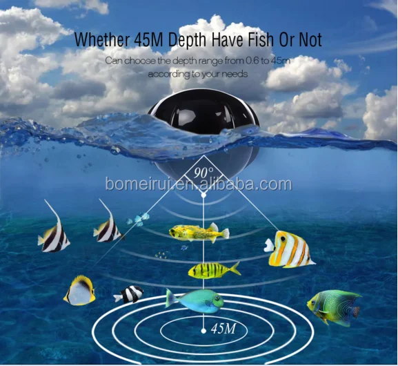 fish finder (9).png