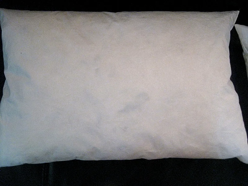 Pillow Fight Cheap Duck Feather Pillow Buy Pillow Fight Cheap