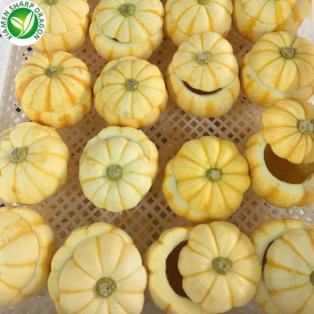 XMSD Mini Pumpkins Bulk IQF frozen mini pumpkin supplier