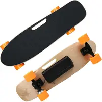 

SYL-03 Fish Board Electric Skateboard Skate Board Electric