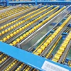 Maxrac dynamic carton live storage racking system with medium load longspan shelving