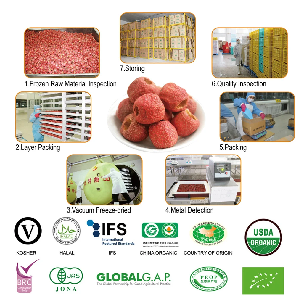 Freeze Dried Pitted Hawthorn Berry fruits