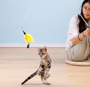 Image of Cat Toy Interactive Feather Wand Retractable Teaser and Exerciser for cat
