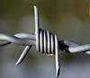 Sharp and Secure Galvanized Barbed Wire (Produce Factory)