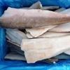 Good Price Frozen Canadian Hake Fillet in Hake Fish