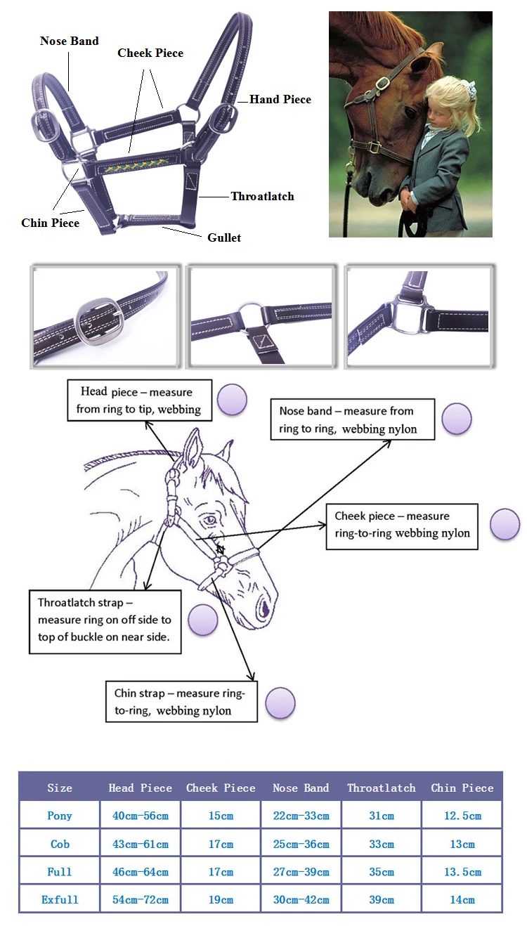 Customized yellow designer horse halters
