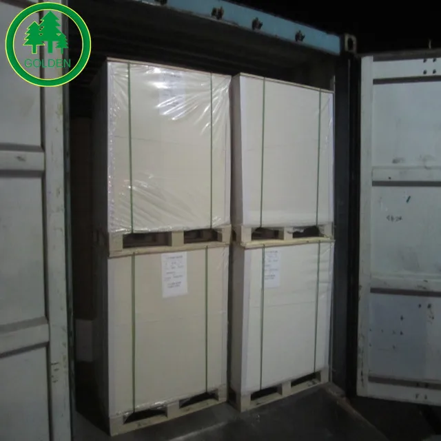 
C1S Coated Ivory Board/ FBB/ Bristol Paper Roll 