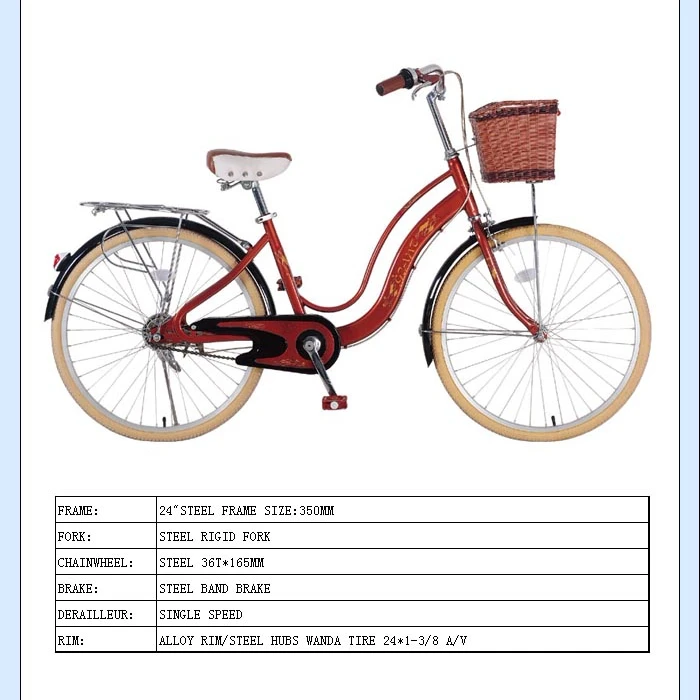 buy ladies bicycle