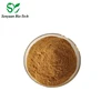 Hot Selling100% Natural Colanut Seed Extract/Kola Nut Extract Powder/Colanut Extract