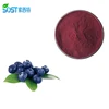 Food Additives Freeze-Dried Organic Acai Berry Extract Powder