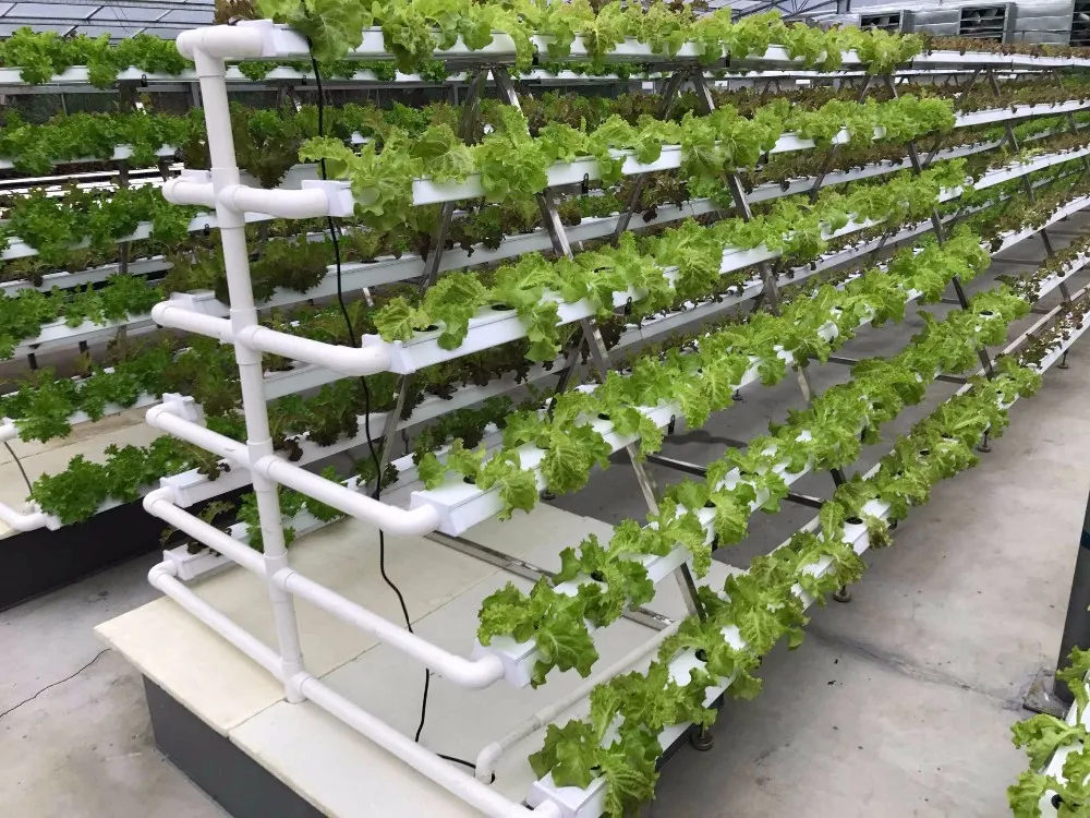 2018 New Hydroponic Nft System For Leafy Vegetable - Buy ...