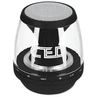 

LED light transparent Bluetooth speaker with FM radio