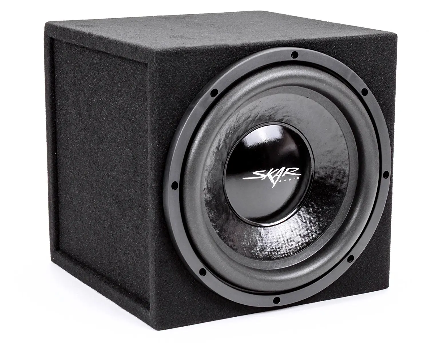 dual 12 inch 500 watt subwoofer