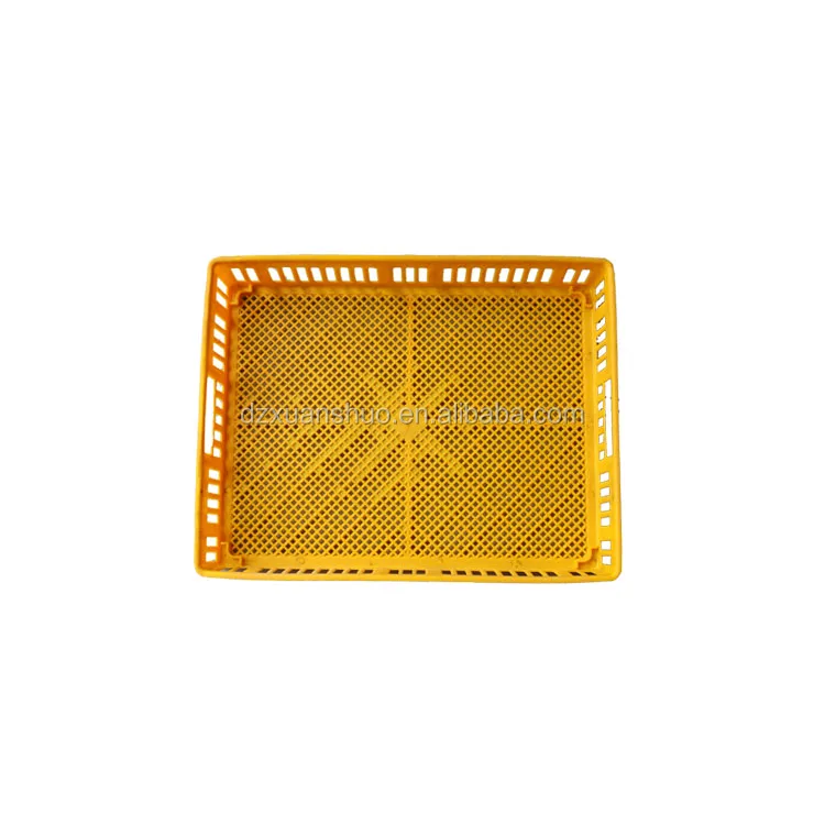 chicken drinker 21.jpg