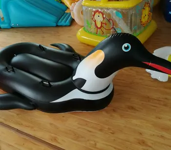 penguin pool float