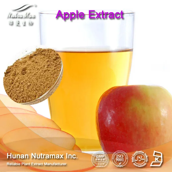100 Natural Apple Extract Polyphenol,Phlorizin Apple Extract Powder