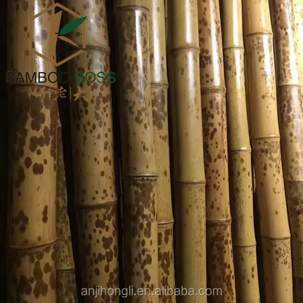 moso bamboo cane