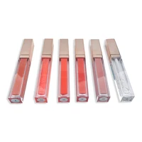 

Custom label nude clear liquid lip gloss private label vegan make up