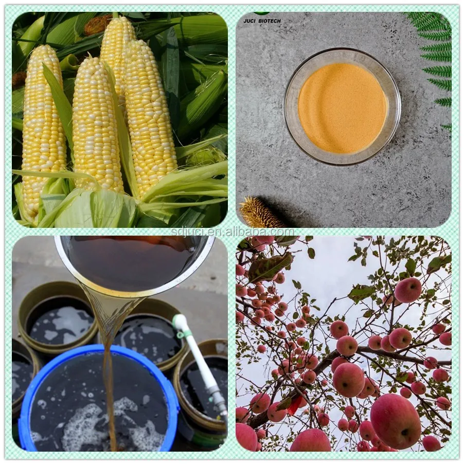 Factory Competitive Nongmo Corn Steep Liquor Powder Csl Powder For