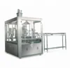 Spout Bag Filling and Capping Machine For Salt Soda water