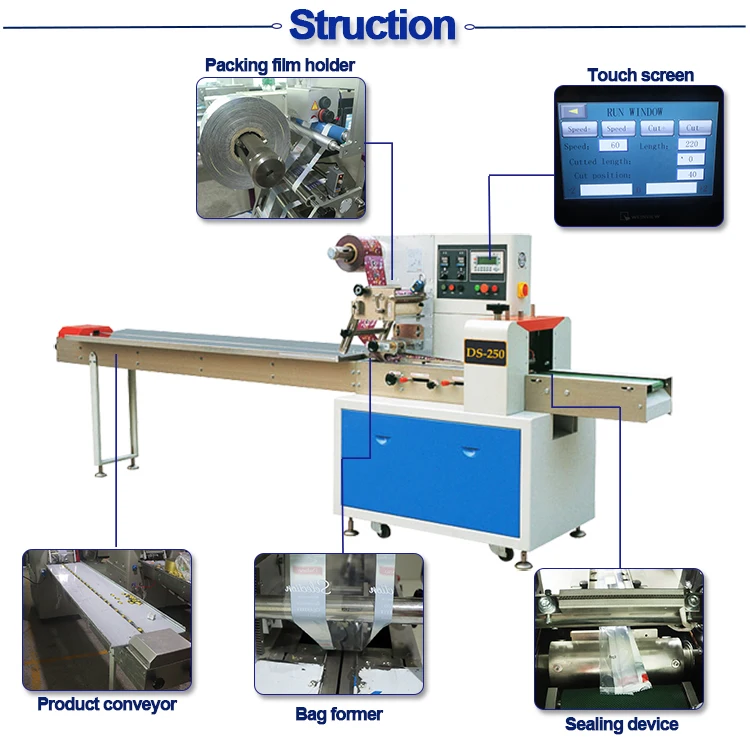 DS-250 mainstructure.jpg