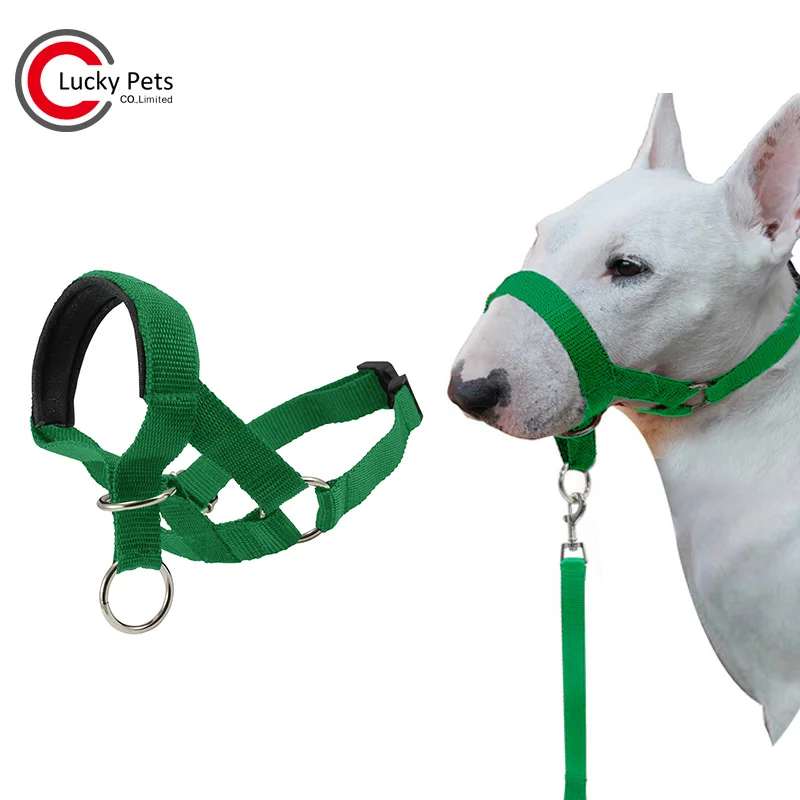 Pet Training Adjustable Nylon Soft Padded Dog Head Halter No Pull Buy Dog Head Collar,Training