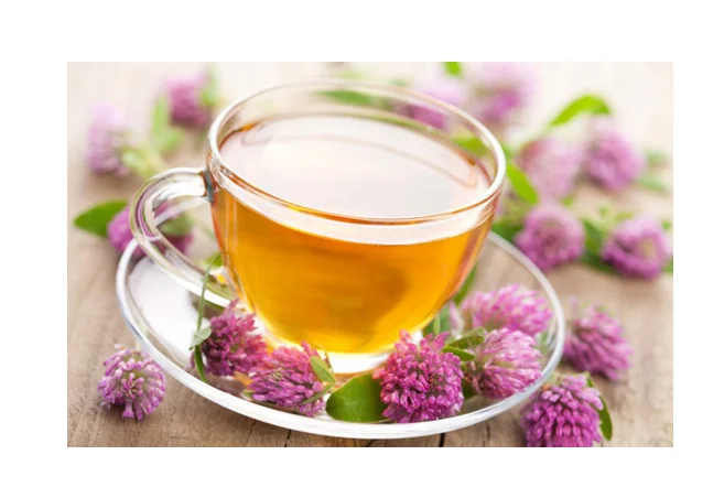 blood lipid lowering tea 3.png