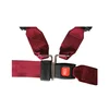 Universal 2 Point Automatic Safety Seat Belt Webbing