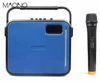 High quality 30W PA system wireless karaoke machine with handheld microphone