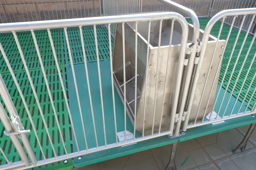 Pig Weaning Equipment Double Nursery Pen Cage For Pig Weaning House ...