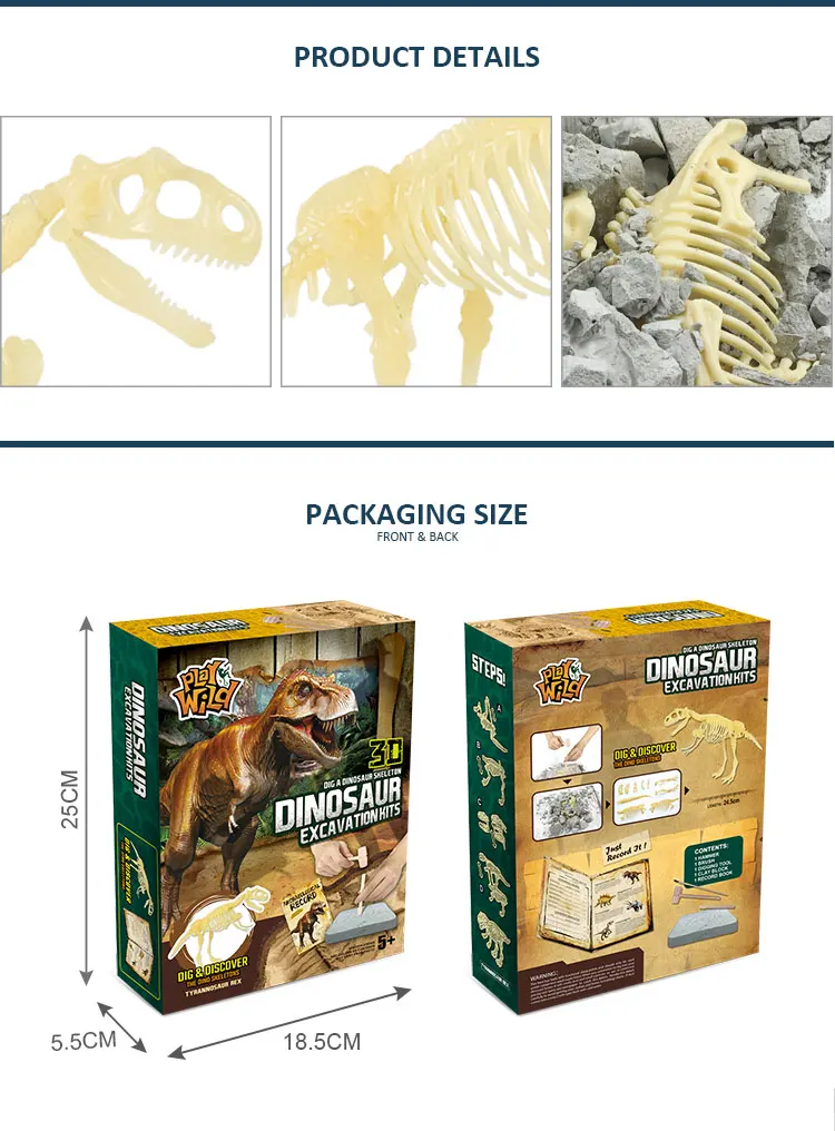 excavation kit dinosaur 3d skeleton