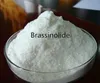 PGR Brassinolide 0.1% 0.2%SP CAS No.72962-43-7